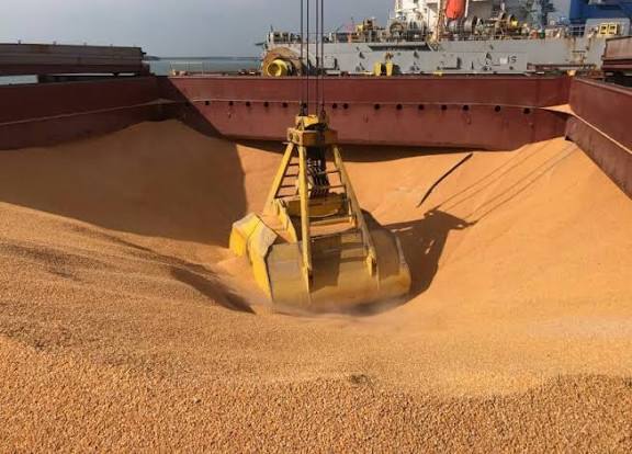Bulk grain handling